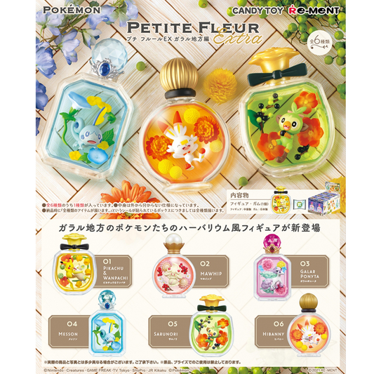 Pokemon Petite Fleur Extra