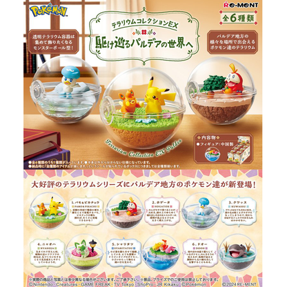 Pokemon Terrarium Collection EX Paldea