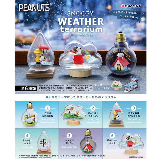 Snoopy Weather Terrarium