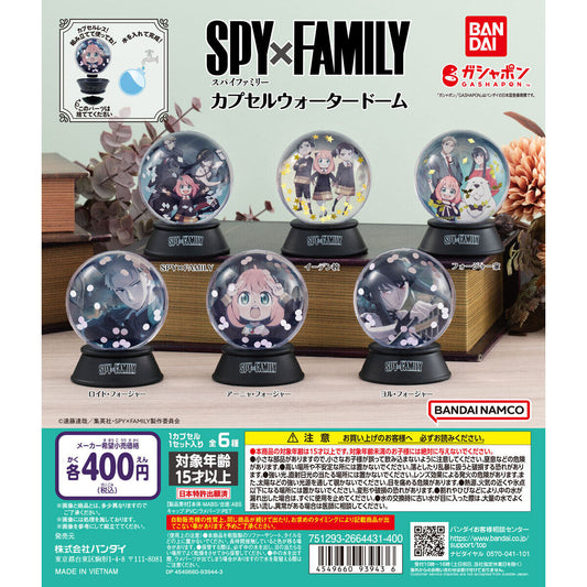 Spy x Family Water Dome
