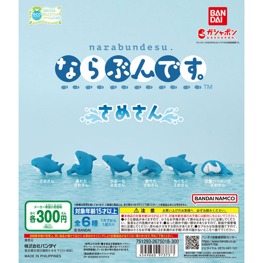 Shark-san Narabundesu