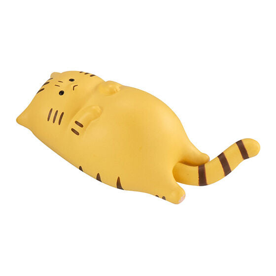 Irritated Meowment