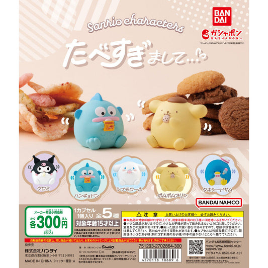 Sanrio Characters We're Full