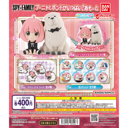 Spy x Family Anya and Bond Assorted Collection