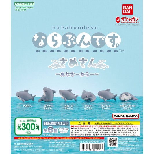 Shark-san Narabundesu Another Color