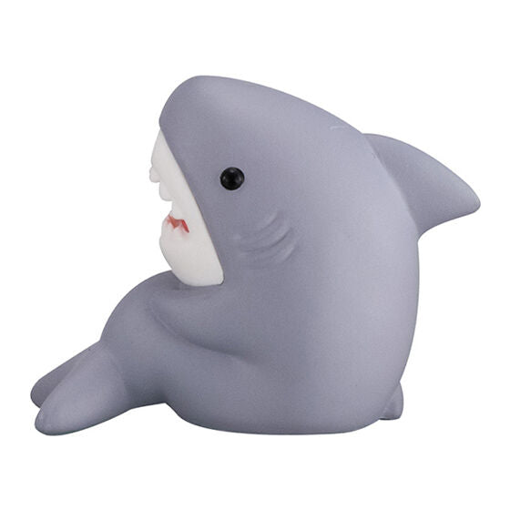 Shark-san Narabundesu Another Color