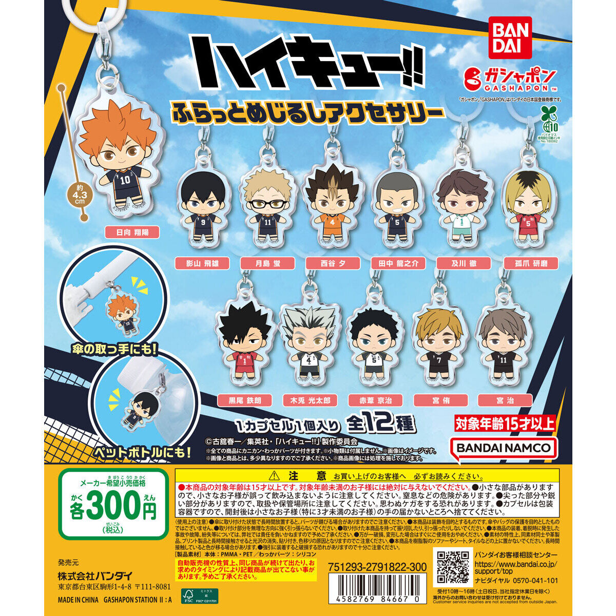 Haikyu!! Flat Personal Marker