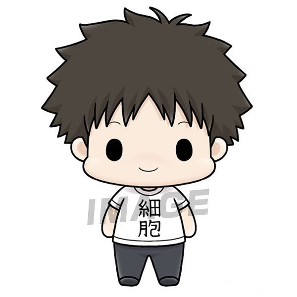 Chokorin Mascot Cells at Work