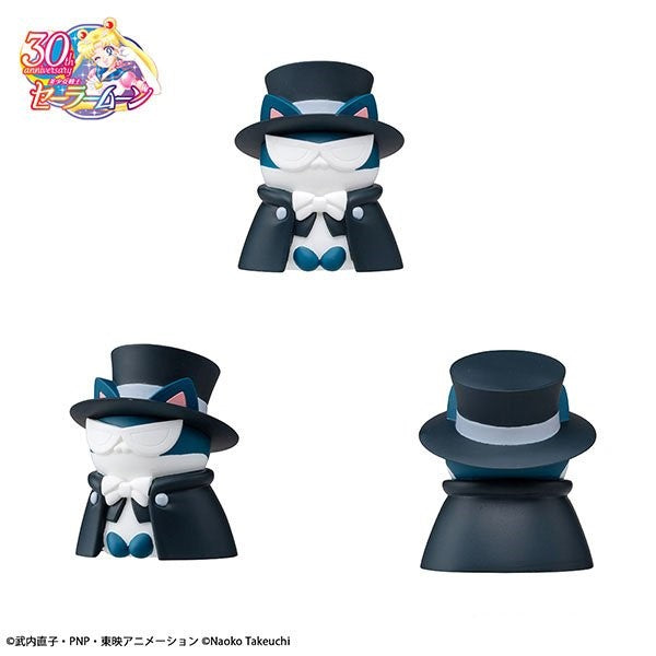 Sailor Moon: Sainya Moon - In the Name of the Meoown! 2024 Ver.