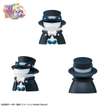 Sailor Moon: Sainya Moon - In the Name of the Meoown! 2024 Ver.