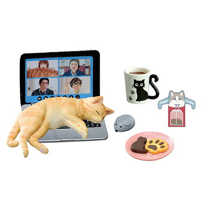 Life With Cats