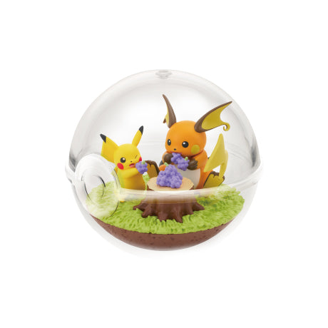 Pokemon Terrarium Collection 14