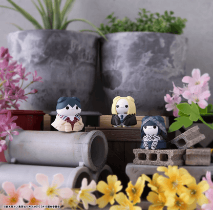 Sakamoto Days: Sakamoto Cats - The Purrfectly Delightful Sakamoto Store!