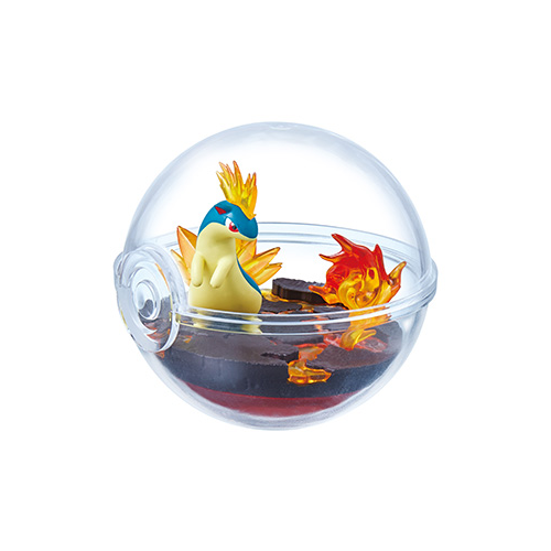 Pokemon Terrarium Collection 13