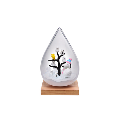 Snoopy Weather Terrarium