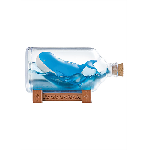 Pokemon Aqua Bottle Collection