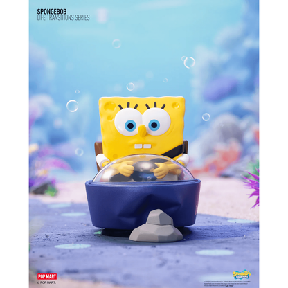 Spongebob Life Transition Series