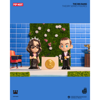 The Big Bang Theory Series